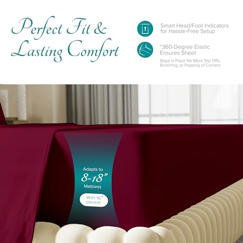 Carressa Linen 100% Egyptian Cotton King Size Sheets Set - 800 - Product Imagery