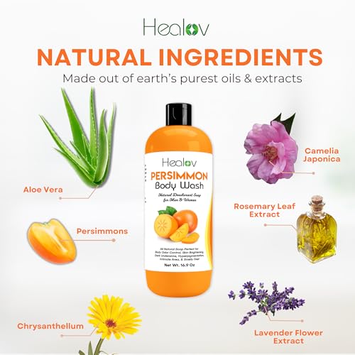 Healov Persimmon Body Wash for Body Odor Control – Purifying - Product Imagery