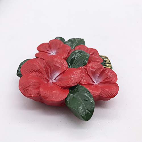 Hawaii Flower 3D USA Refrigerator Magnet Tourist Travel - Product Imagery