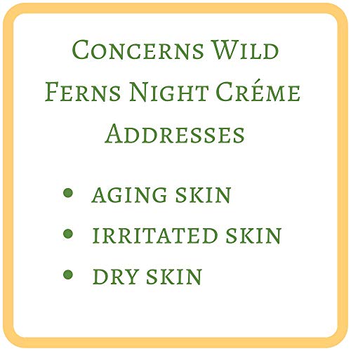 Wild Ferns Manuka Honey Revitalising Night Crème 100g - Product Imagery