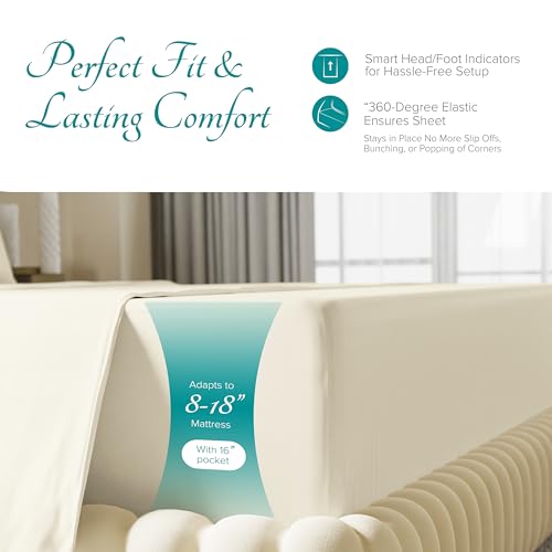Carressa Linen 100% Egyptian Cotton King Size Sheets Set - 800 - Product Imagery