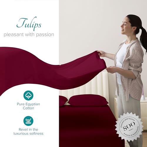 Carressa Linen 100% Egyptian Cotton King Size Sheets Set - 800 - Product Imagery