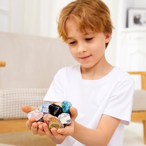 Rock Collection for Kids - 30Pcs Rocks, Gemstones & Crystals Kit - Product Imagery