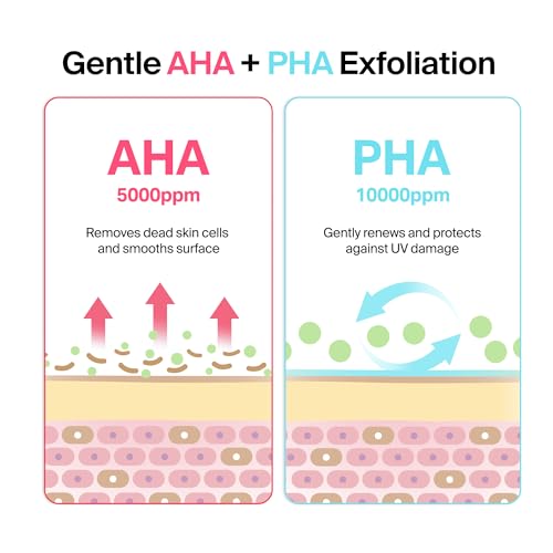 Meebak Camellia Cream, Daily Exfoliating Pore Cream, Night Cream - Product Imagery