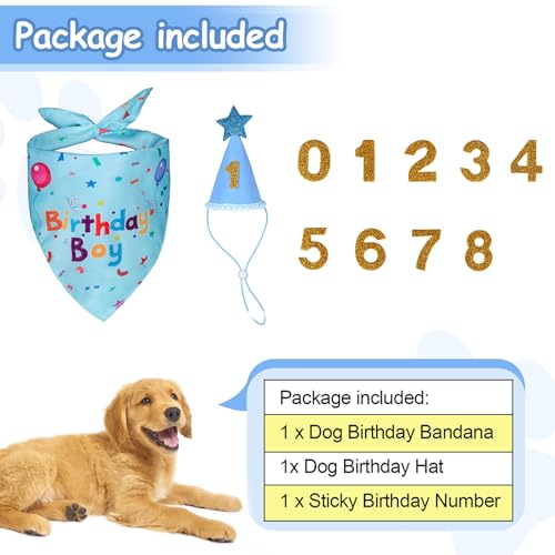 Dog Birthday Bandana Set, Dog Birthday Party Supplies,Dog - Product Imagery