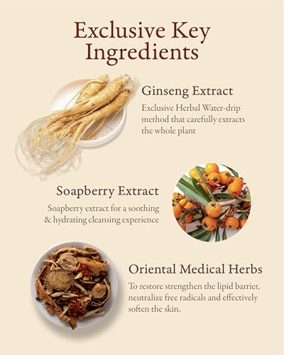 Sooryehan Bon Cleansing Foam (5.4fl oz) - Korean Skincare Herbal - Product Imagery