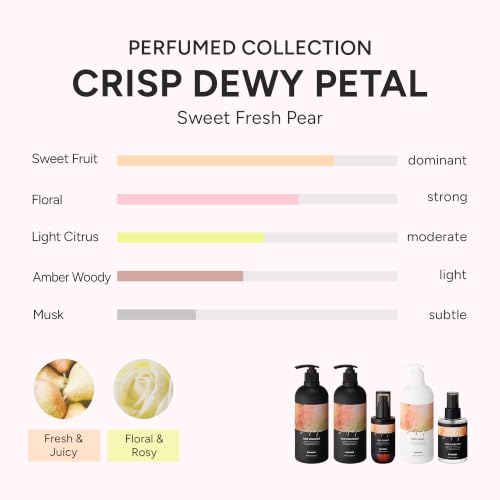 2-in-1 Hair Serum & Perfume Oil - Korean Hair Care, Moroccan - Product Imagery