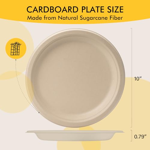 Compostable Paper Plates 10 Inch [150 Pack] - Product Imagery