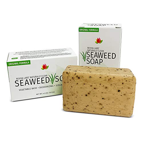 Reviva Labs Reviva Seaweed Soap - Organic Seaweed Face Scrub and Exfolia - Reviva Labs Official Product View 1