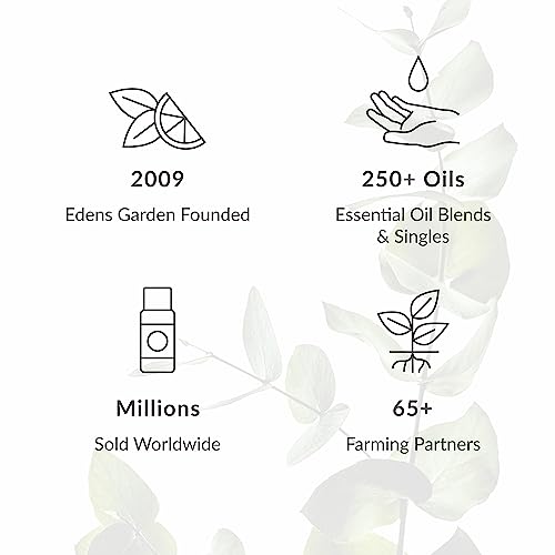 Edens Garden Davana Essential Oil- 100% Pure 30 ml (1 fl oz) - Product Imagery