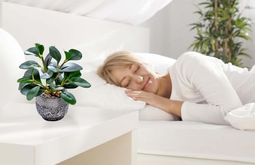 Small faux potted plant with rustic black pot, realistic artificial greenery for home decor from AlphaAcc.