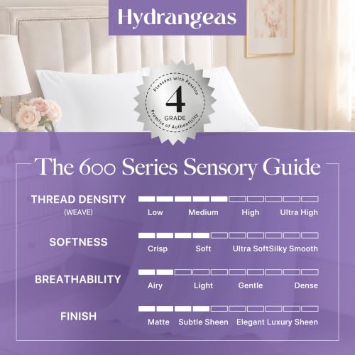 Carressa Linen 100% Egyptian Cotton Queen Sheet Set - 600 Series - Product Imagery