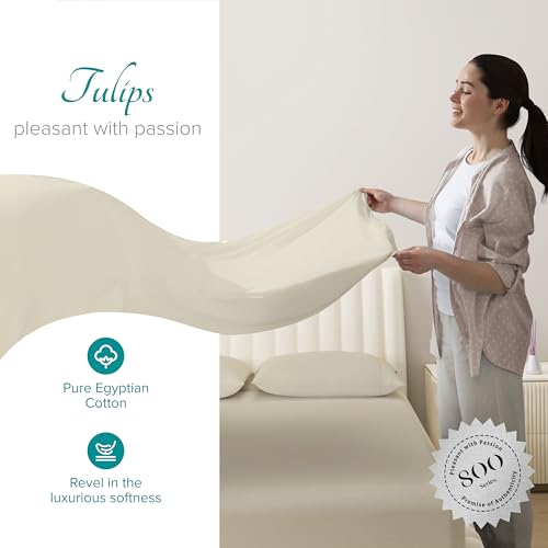 Carressa Linen 100% Egyptian Cotton King Size Sheets Set - 800 - Product Imagery