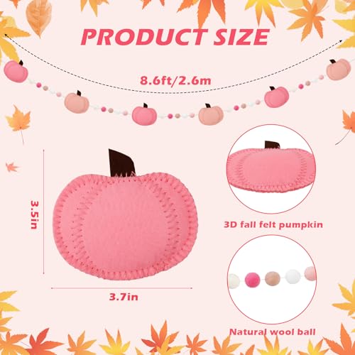 8.6FT Felt Pumpkin Garland Fall Pom Pom Banner Decorations, - Product Imagery