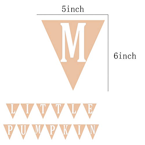 Little Pumpkin Banner for First Birthday or Baby Shower - Product Imagery