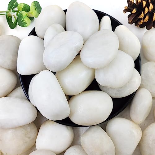 10lbs White River Rocks 2 3 Inch Natural Pebbles for Indoor - YISZM Official Imagery - 1