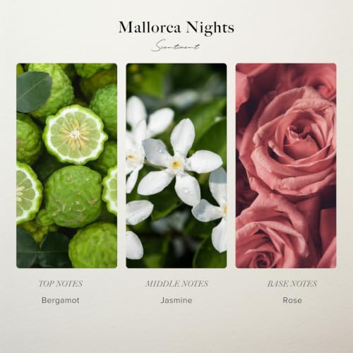 Scentiment Mallorca Nights Diffuser Oil - Premium Hotel Scent - Product Imagery