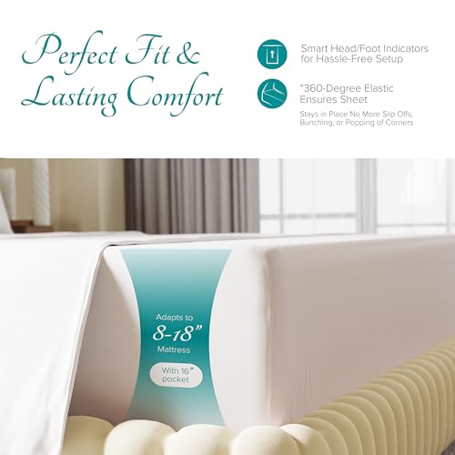 Carressa Linen 100% Egyptian Cotton King Size Sheets Set - 800 - Product Imagery