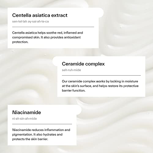 Dermatica Daily Soothing Centella Gel Moisturizer | Hydrating - Product Imagery