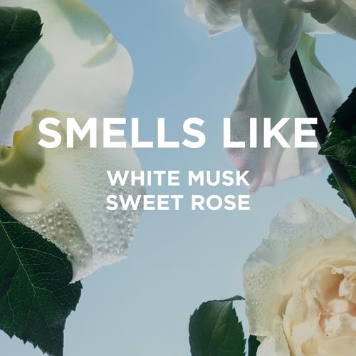 By Rosie Jane Perfume Oil (Rosie) - Travel Size Roll On Perfume - Product Imagery
