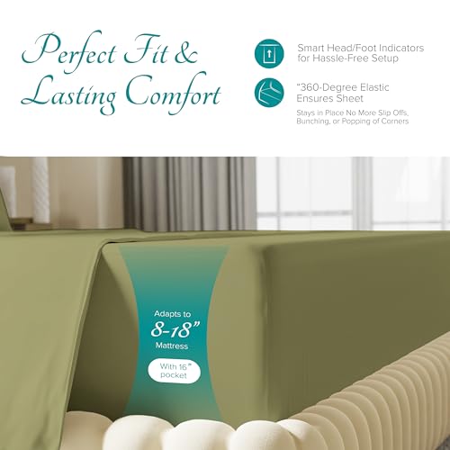 Carressa Linen 100% Egyptian Cotton King Size Sheets Set - 800 - Product Imagery