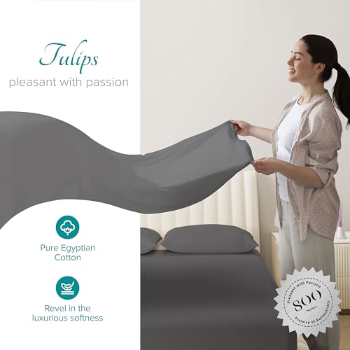 Carressa Linen 100% Egyptian Cotton King Size Sheets Set - 800 - Product Imagery