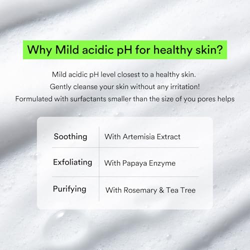 Abib Mild Foam Cleanser Heartleaf Foam 5.07 fl.oz, Low pH - Product Imagery