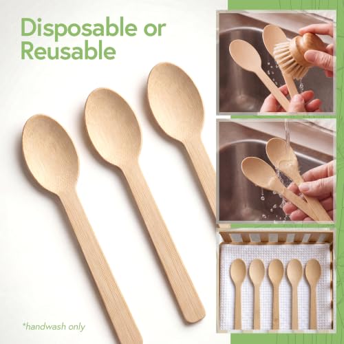 100% Bamboo Spoons, 100 Pack, Compostable Cutlery - Product Imagery