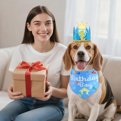 Rensh Dog Birthday Party Supplies, Dog Birthday Bandana Hat with - Product Imagery