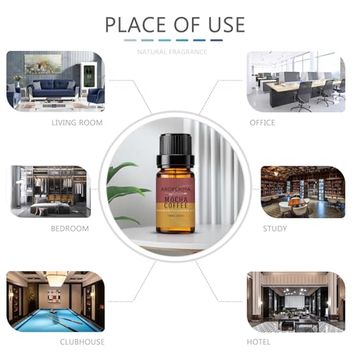 Mocha Coffee Fragrance Oil 10ml, Strong Scent for Soap & DIY - Product Imagery