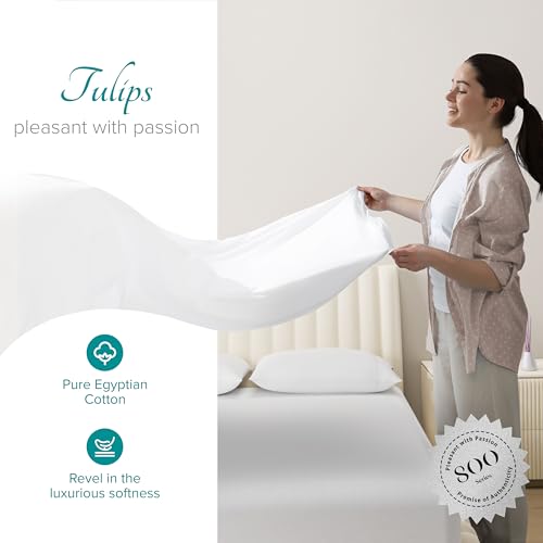 Carressa Linen 100% Egyptian Cotton King Size Sheets Set - 800 - Product Imagery