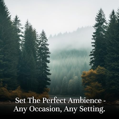 P&J Trading Fragrance Oil Favorite Set | Candle Scents for - Product Imagery