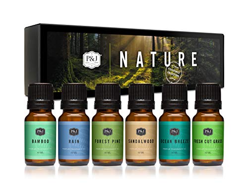 P&J Fragrance Oil Nature Set | Forest Pine, Ocean Breeze, Rain, - Product Imagery