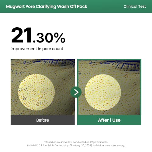AXIS-Y Mugwort Pore Clarifying Wash Off Pack - Face Exfoliator - Product Imagery