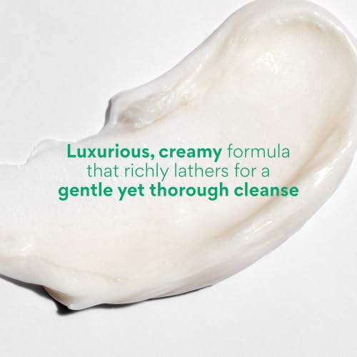 innisfree Green Tea Amino Acid Cleansing Foam, Sulfate-Free - Product Imagery