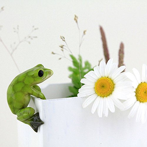 Top Collection Miniature Fairy Garden and Terrarium Frog Flower - Product Imagery