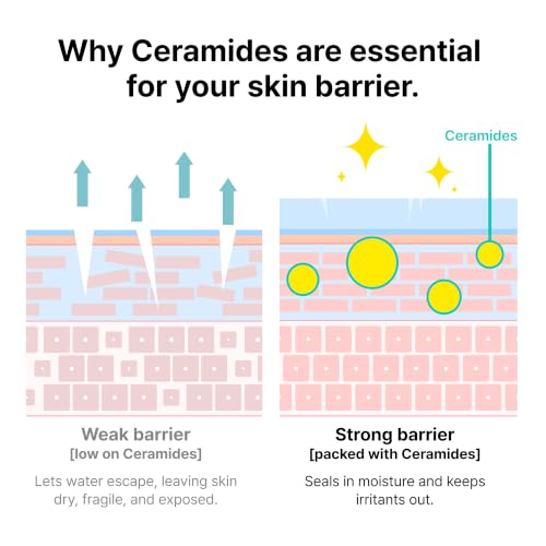 + Ceramidin Skin Barrier Korean Face Cream Moisturizer with - Product Imagery