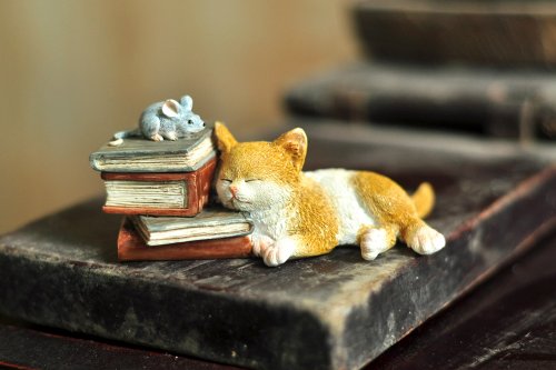 Top Collection Enchanted Story Garden Kitten Napping on Books - Product Imagery