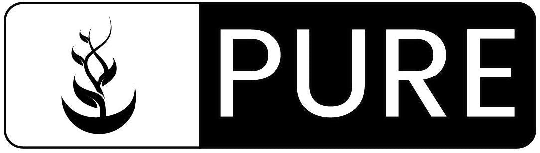 Pure Original Ingredients Salicylic Acid 2% Solution , Pure & Simple Serum - PURE ORIGINAL INGREDIENTS Official Product View 7