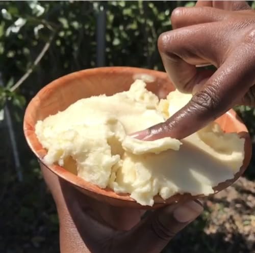 3CAYG 1LB Shea Nilotica | East African Shea Butter| Creamy - Product Imagery
