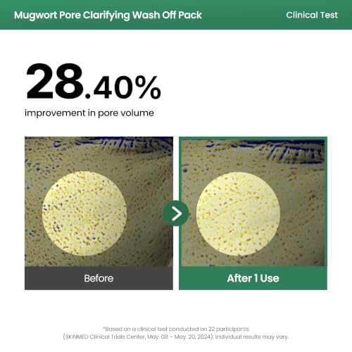 AXIS-Y Mugwort Pore Clarifying Wash Off Pack - Face Exfoliator - Product Imagery