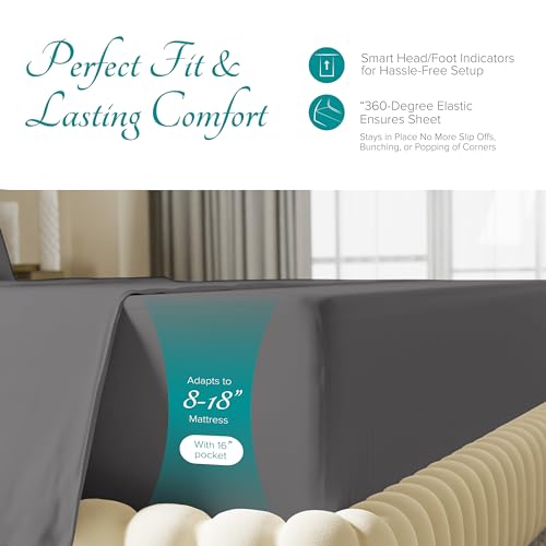 Carressa Linen 100% Egyptian Cotton King Size Sheets Set - 800 - Product Imagery