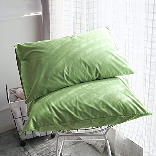 Queen Size Pillowcases Set of 2 | 100% Egyptian Cotton 1000 - Product Imagery