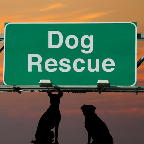 Infinity Collection Personalized Dog Rescue Keychain – - Product Imagery