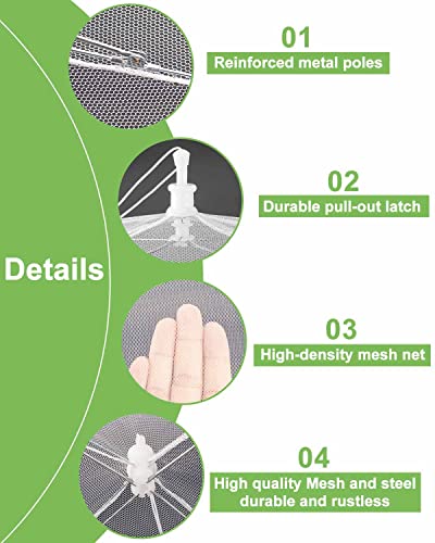 Large Food Cover,6 Pack Mesh Food Tent,17"x17",White Nylon - Product Imagery