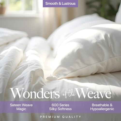 Carressa Linen 100% Egyptian Cotton Queen Sheet Set - 600 Series - Product Imagery