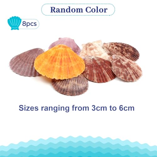 Fishing Net and White Bubble Garlands for Under the Sea Party - Product Imagery