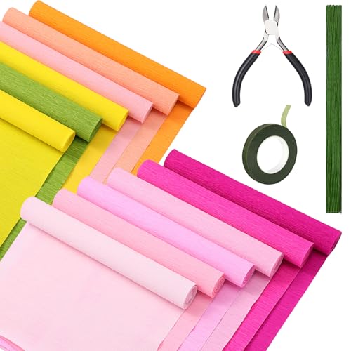 Leinuosen 65 Pcs Crepe Paper Flower DIY Kits 12 Rolls 10 x - Leinuosen Official Imagery - 1