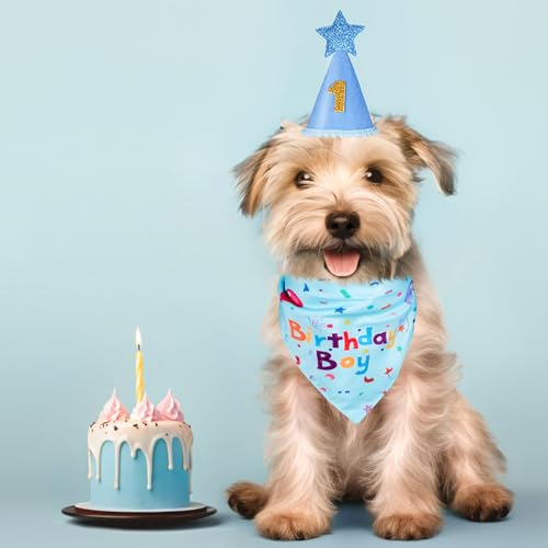 Dog Birthday Bandana Set, Dog Birthday Party Supplies,Dog - Product Imagery