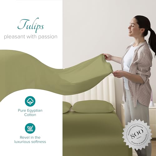 Carressa Linen 100% Egyptian Cotton King Size Sheets Set - 800 - Product Imagery